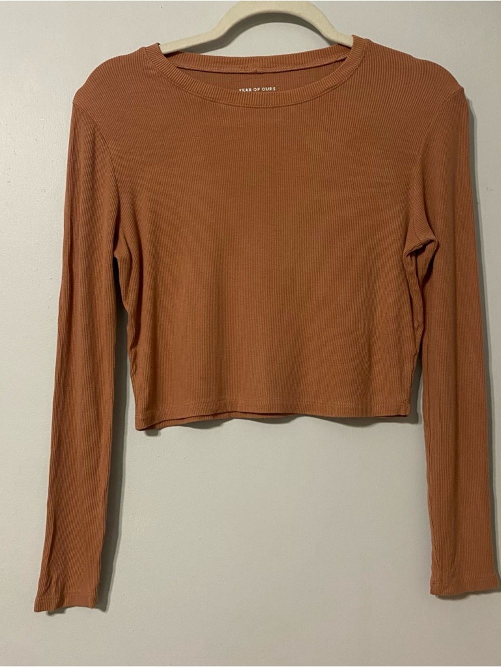 {Year of Ours} Cropped Long Sleeve Ribbed Top | Terracotta ~ Size Small